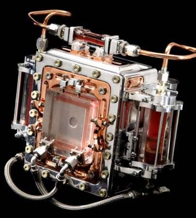 Wayne Martin Belger 1