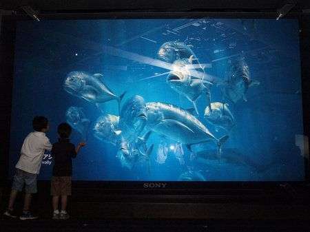 Sony Aquarium