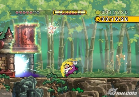 wario land shake it