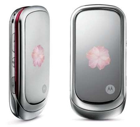 Motorola Pebl Rose Bloom
