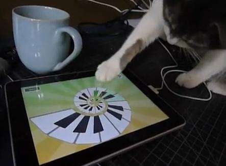 Apple iPad e un gatto