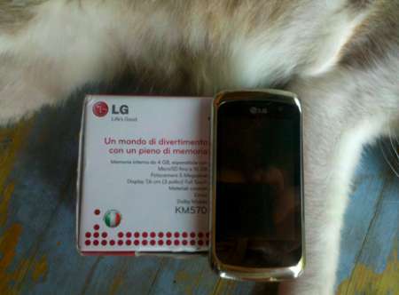 LG Fresh 4GB box