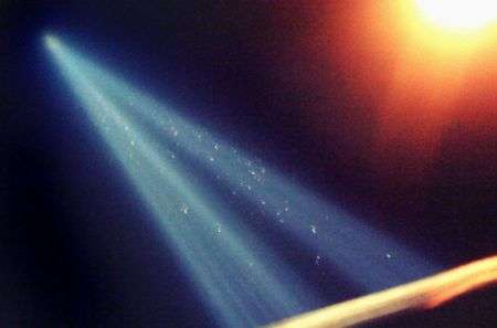 Tributo Torri Gemelle uccelli