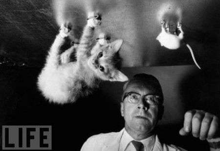 Esperimenti scientifici bizzarri