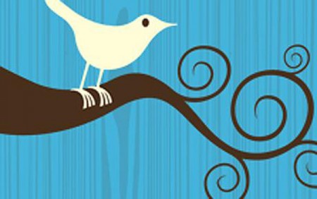 twitter google facebook sn