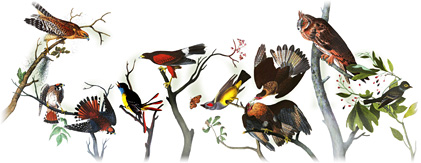 google doodle john james audubon