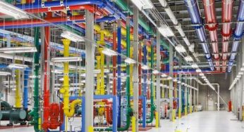 Google assume alligatore di 1.5m per la manutenzione server [FOTO]