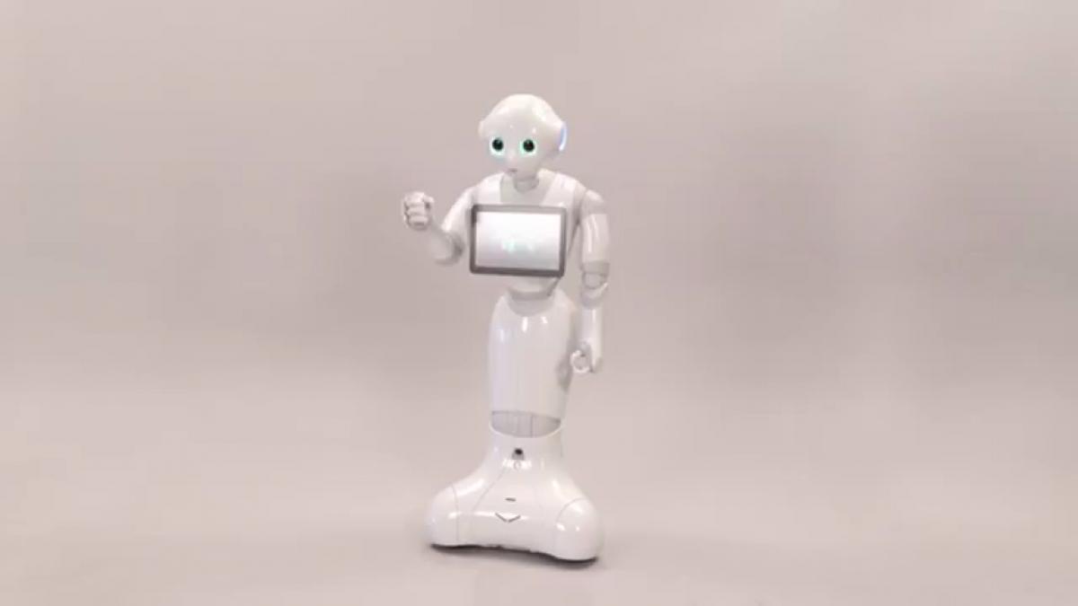 Il robot che comprende le emozioni umane VIDEO