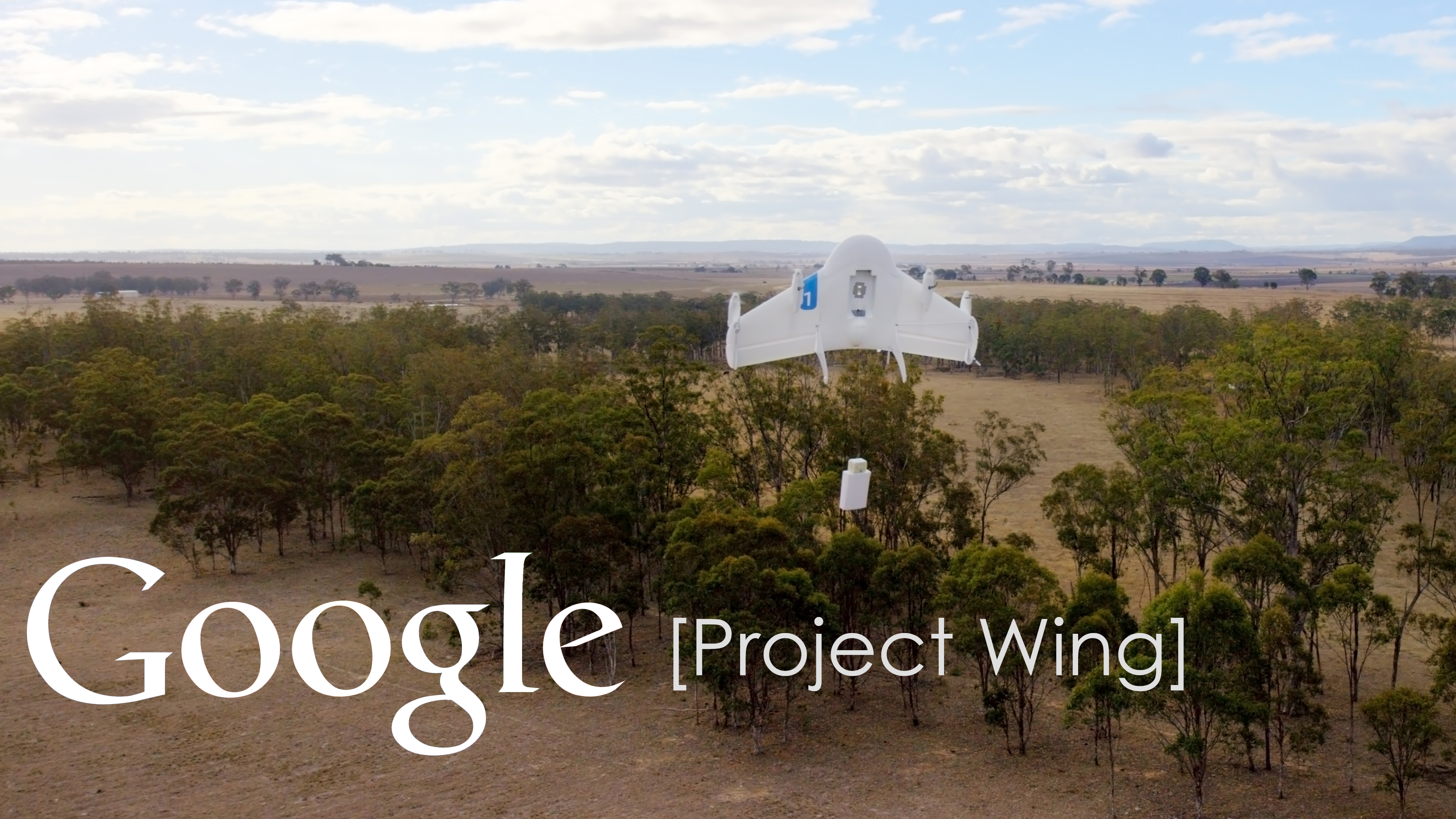 google project wing