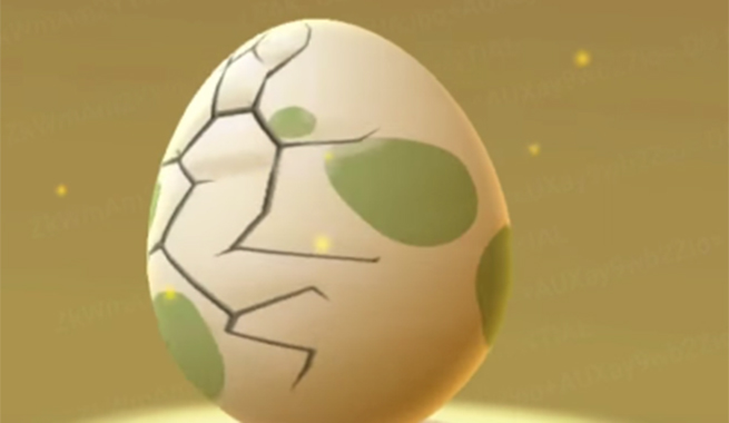 Schiudere uova Pokemon