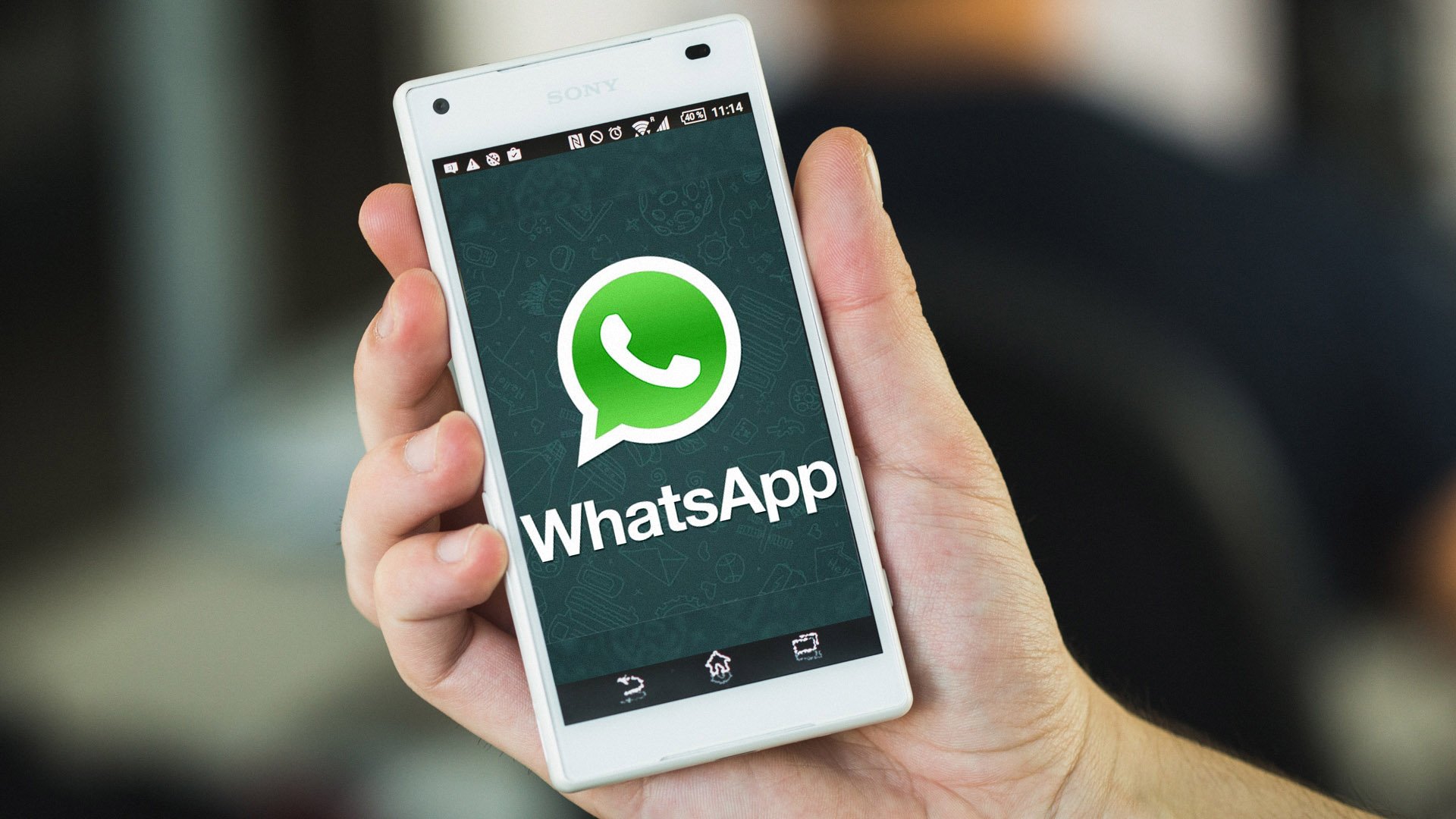 WhatsApp video streaming