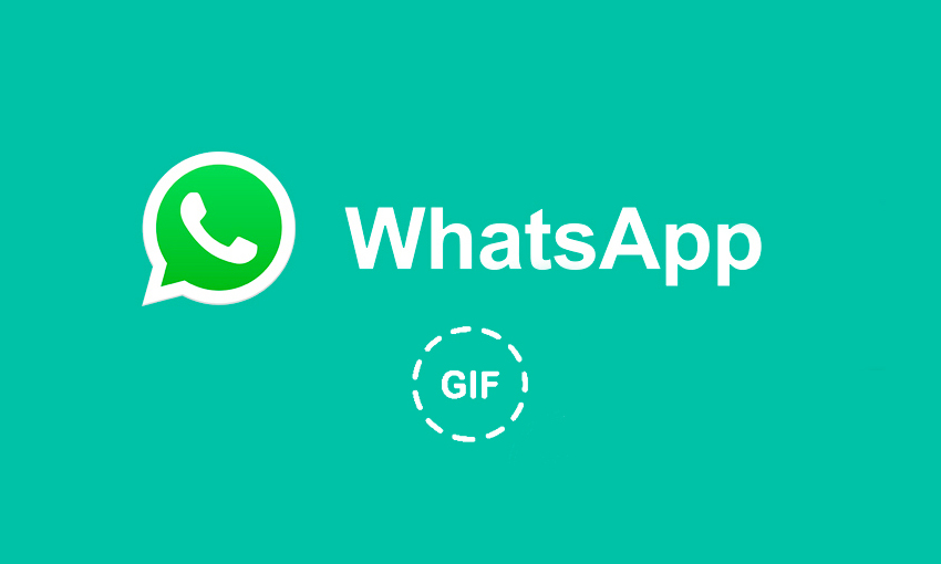 WhatsApp GIF ricerca