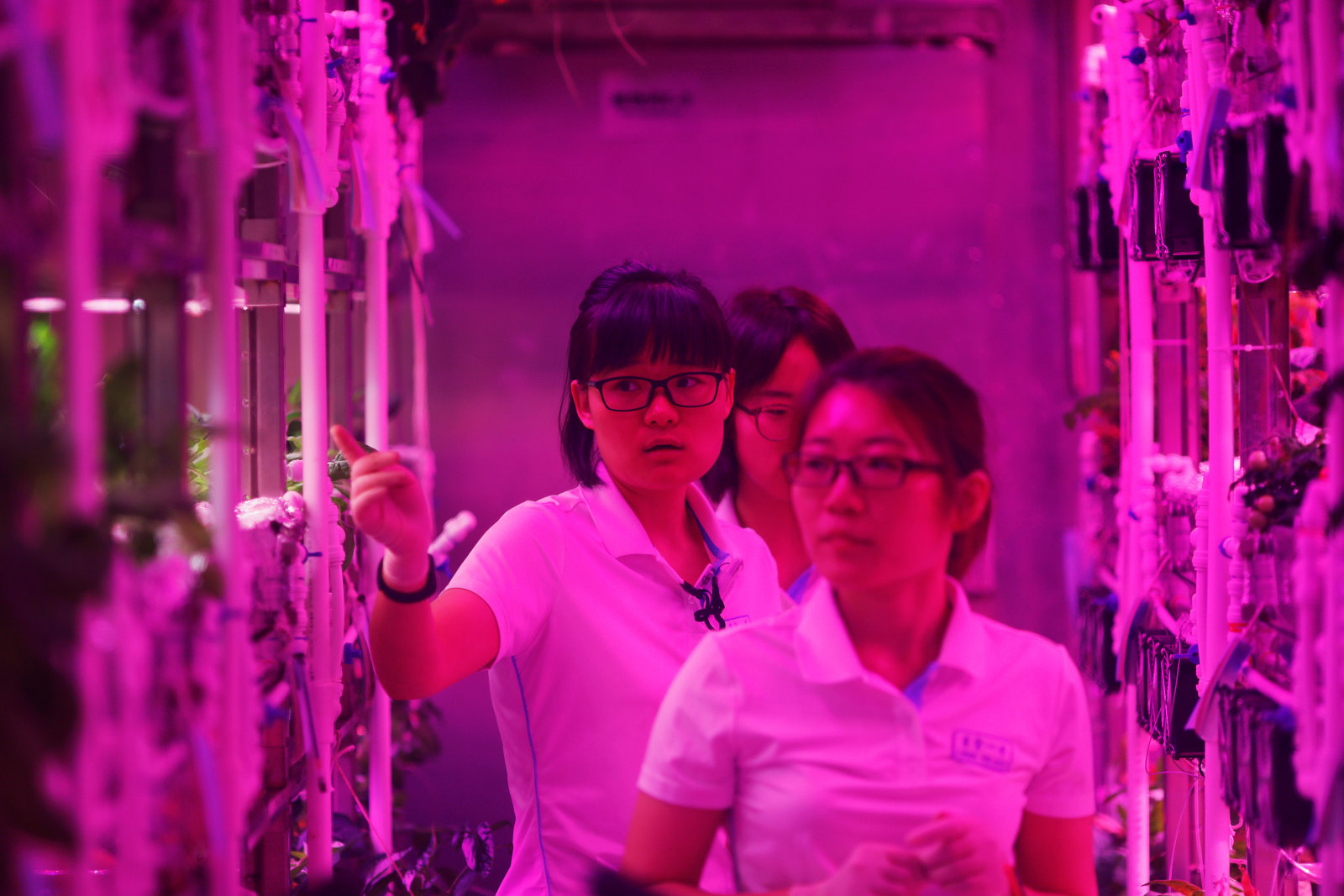 Volunteers check on plants inside a simulated space cabin in which they temporarily live as a part of the scientistic Lunar Palace 365 Project, at Beihang University in Beijing