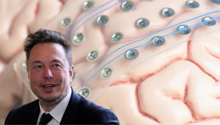 Cavie umane Elon Musk i requisiti