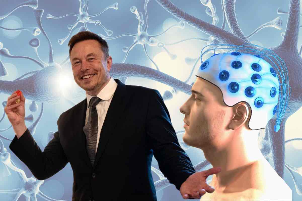 Cavie umane impianti al cervello Elon Musk