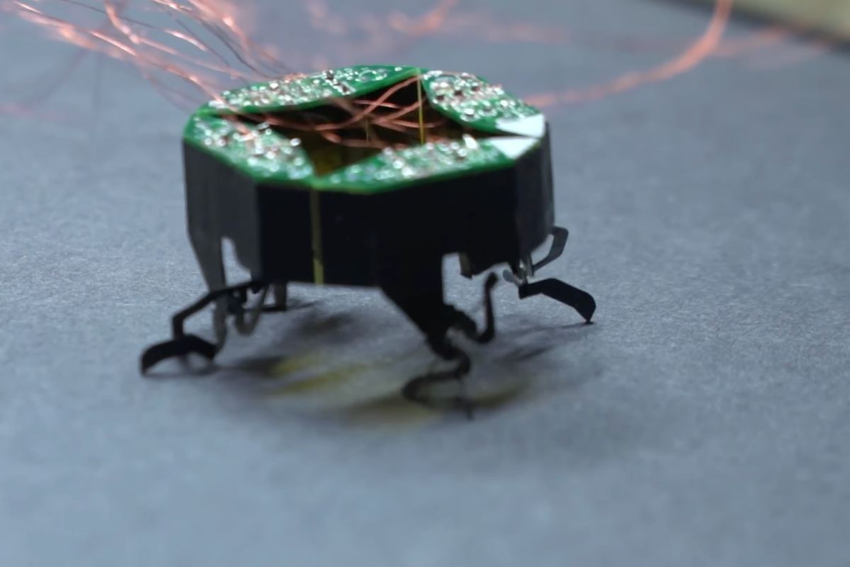 i robot clari soo minuscoli e simili a dei ragni